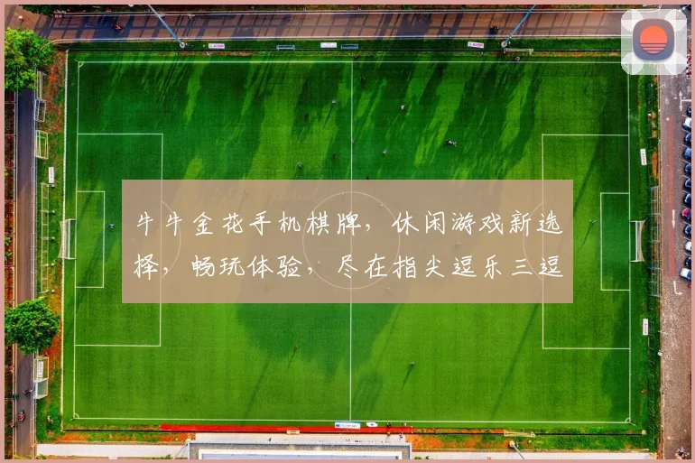 牛牛金花手机棋牌，休闲游戏新选择，畅玩体验，尽在指尖逗乐三逗逗
